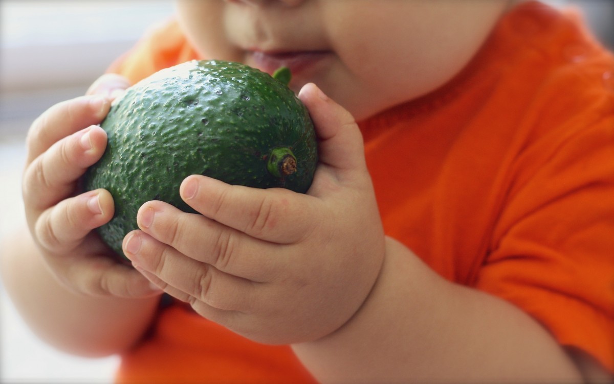 avocado_fruit_baby_food_diet_fresh_green_organic-599799.jpg