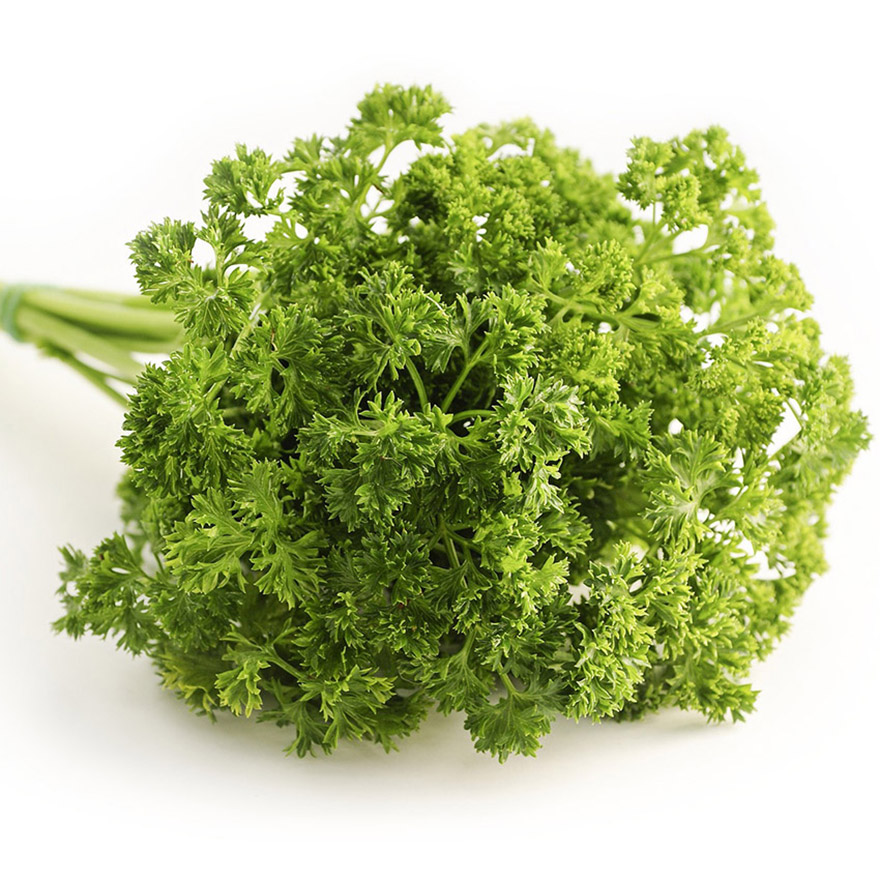 avoid-parsley-while-breastfeeding.jpg