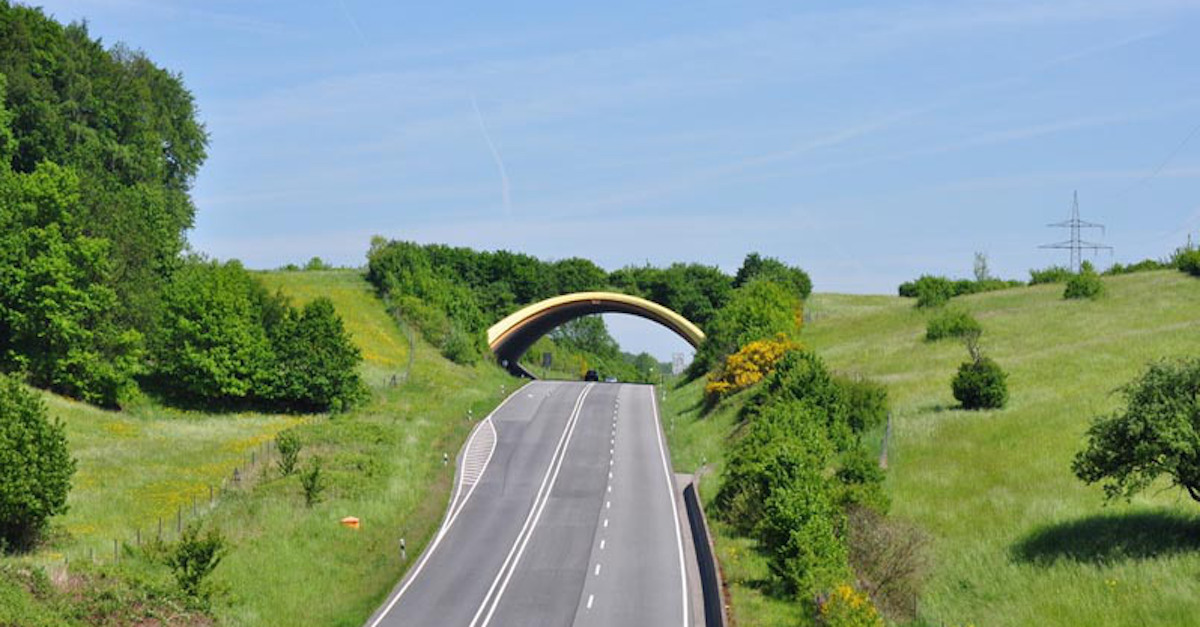 b38-birkenau-germany-animal-bridge-wildlife-crossing-overpass