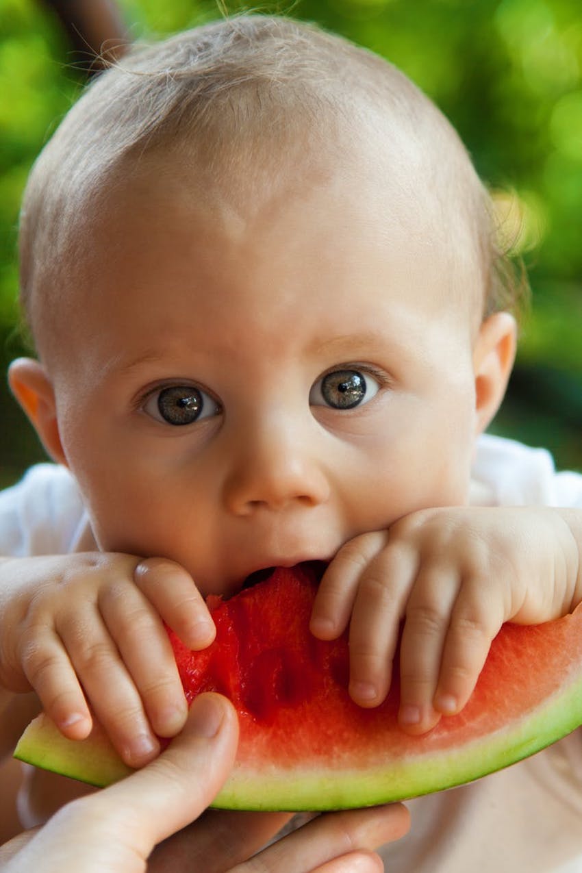 baby-bite-boy-child-40972.jpg