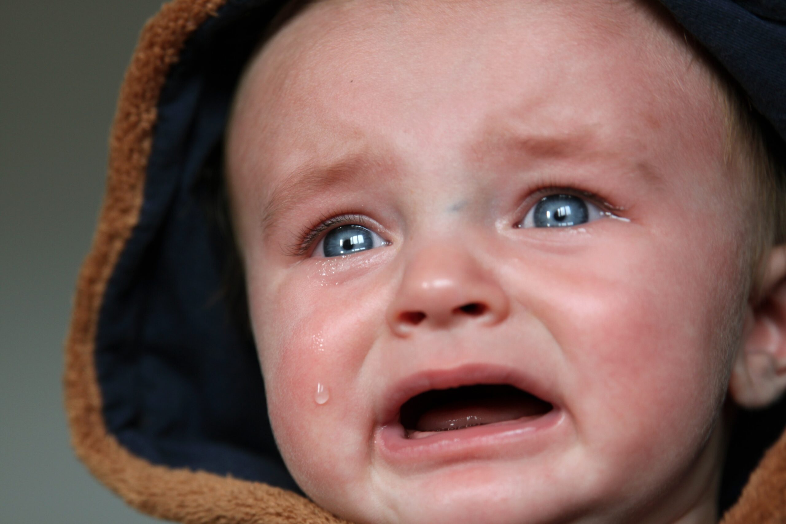 baby-child-close-up-crying-47090.jpg baby-child-close-up-crying-47090.jpg