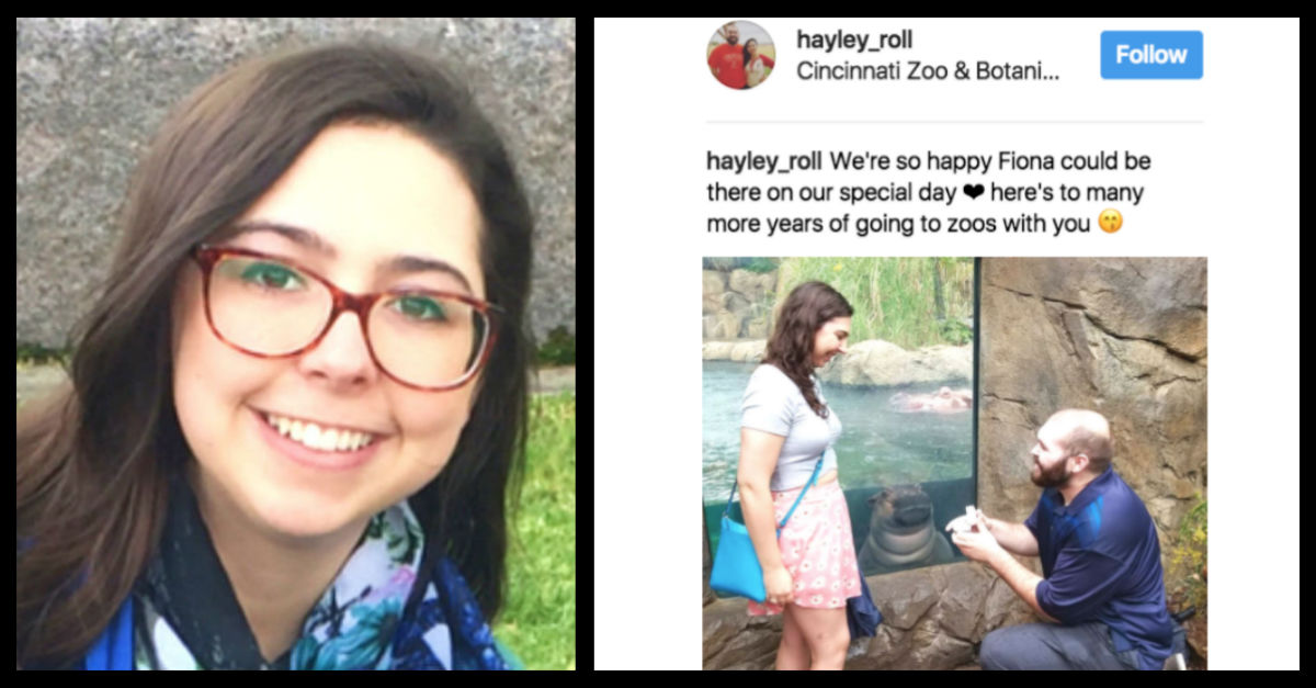 baby-hippo-fiona-zoo-proposal