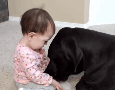 baby2.gif