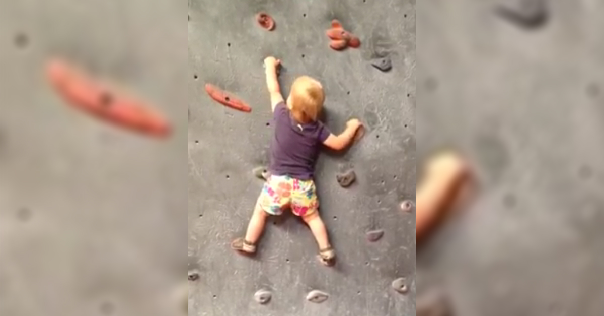 babyclimber