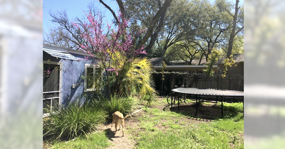 backyard-zen-garden