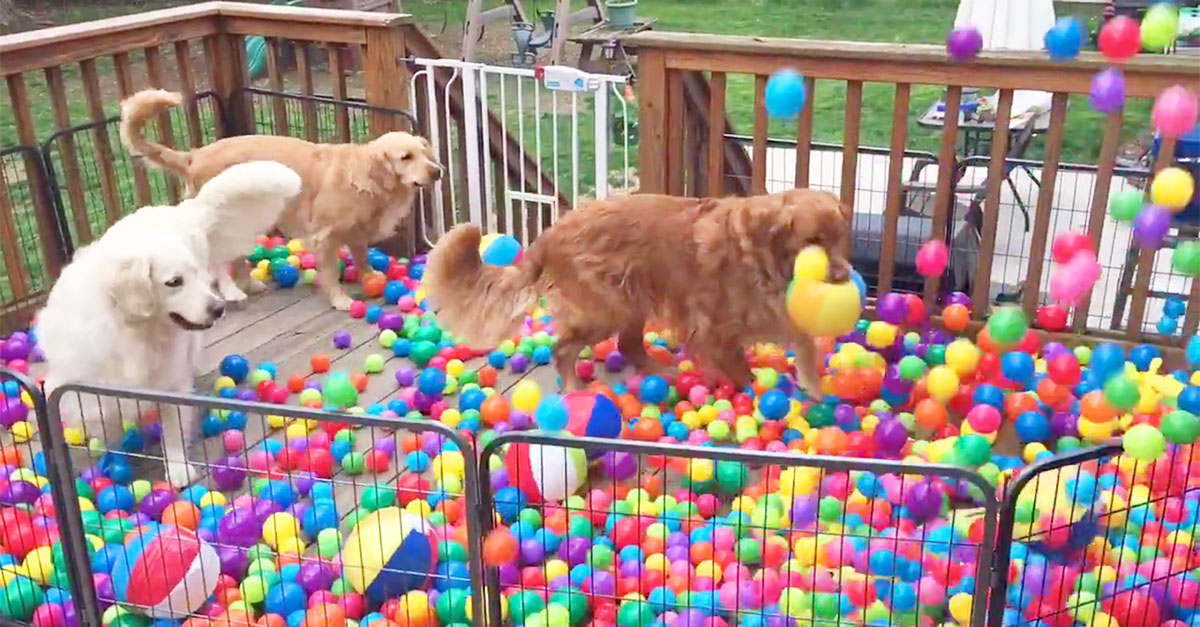 ballpit