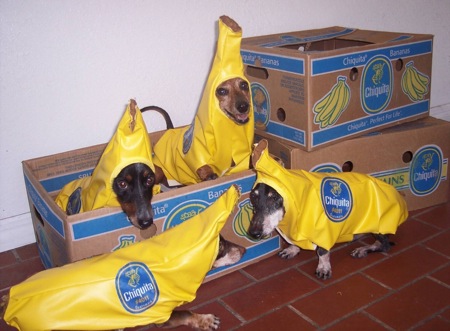 bananas-2.jpg