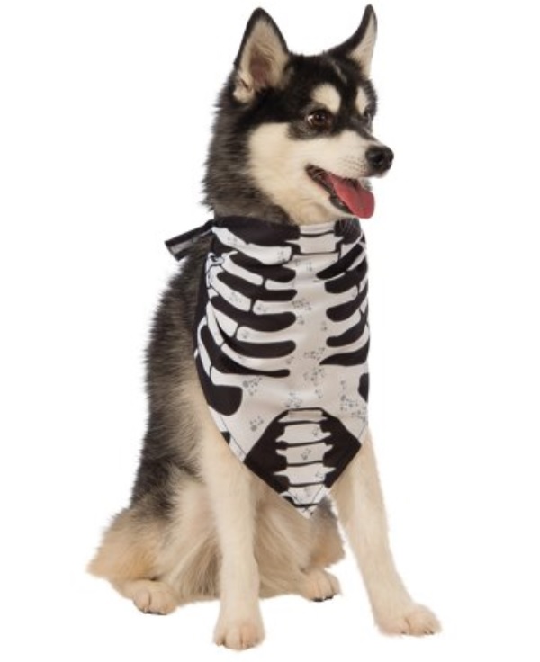 bandana-skeleton.jpg