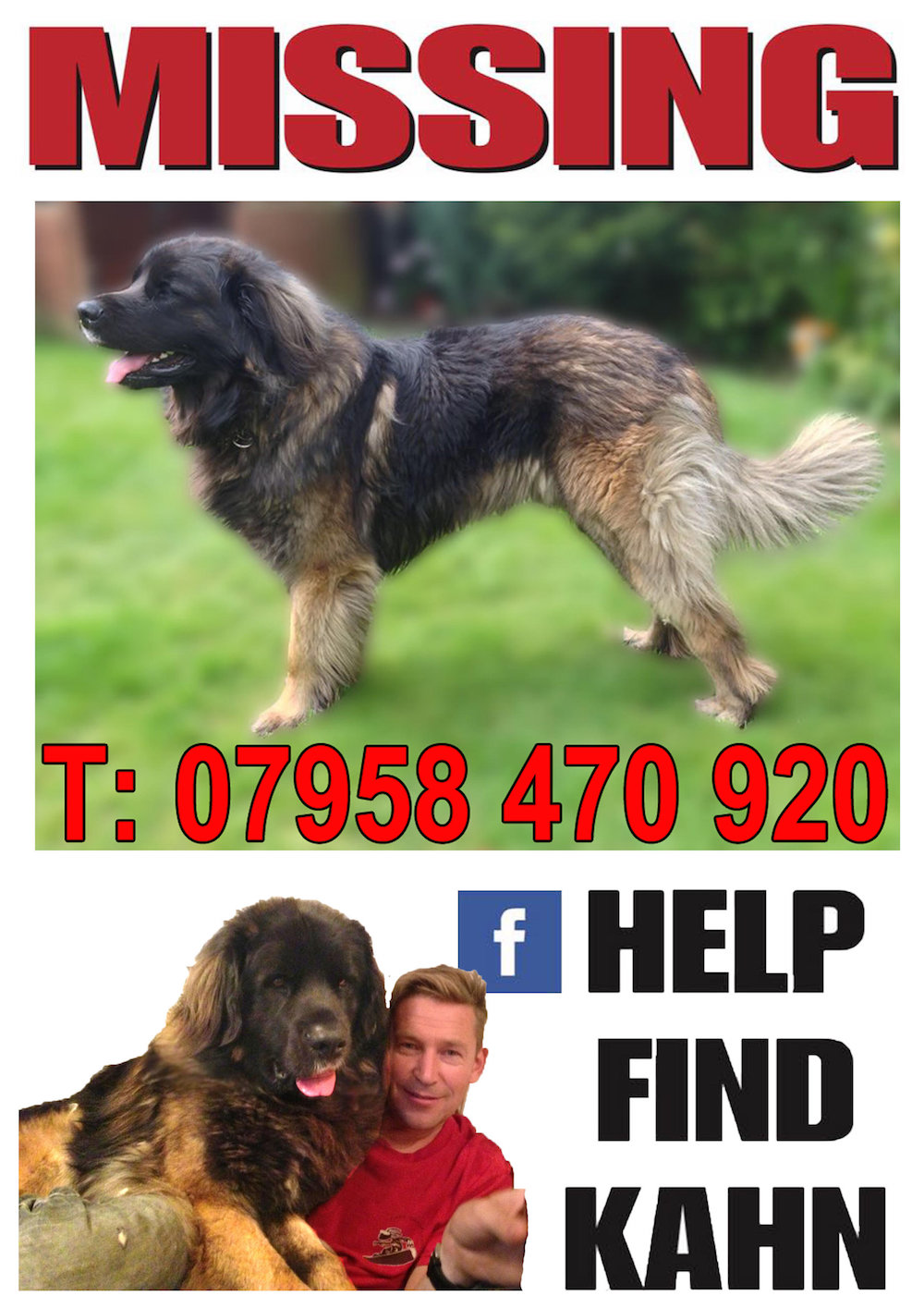 barking-mad-dis-93117.jpg