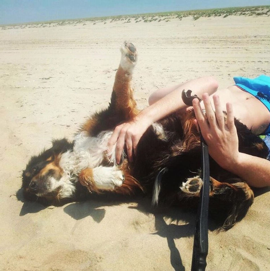 beach.jpg