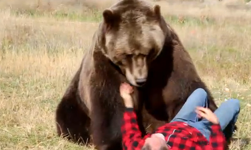 bear-21.jpg