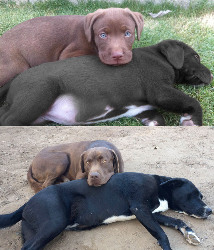 beatiful-friends-grow-up.jpg