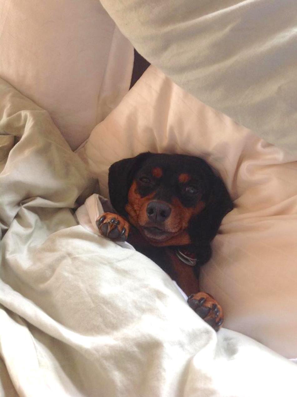 bed-1.jpg