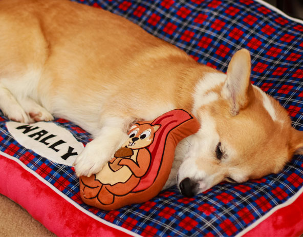 bed-31.jpg