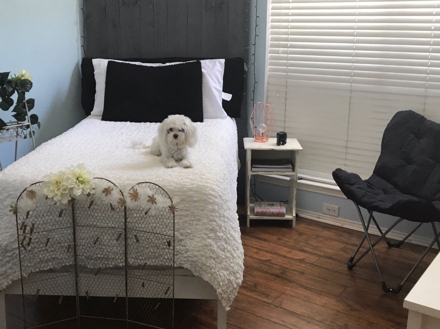 bedroom-dog.jpg
