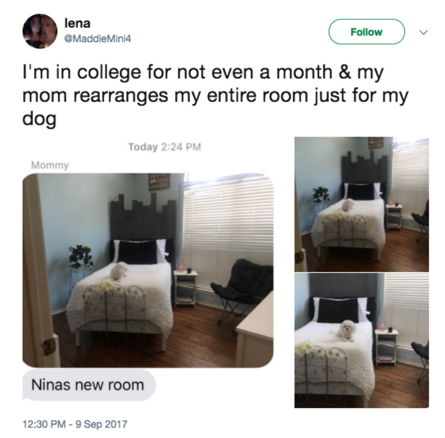 bedroom-tweet.jpg