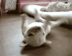 bellrubzplz.gif