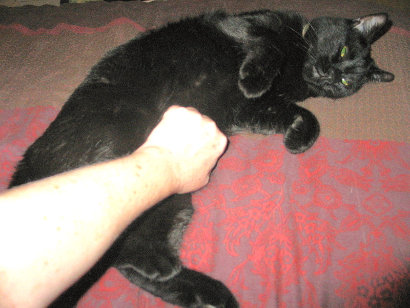 belly-4.jpg