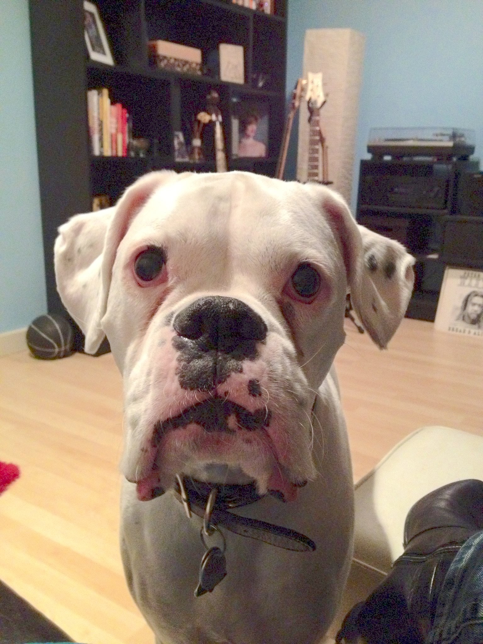 benny-1.jpg
