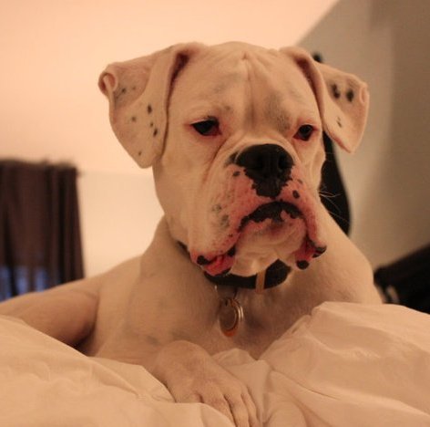 benny-10.jpg
