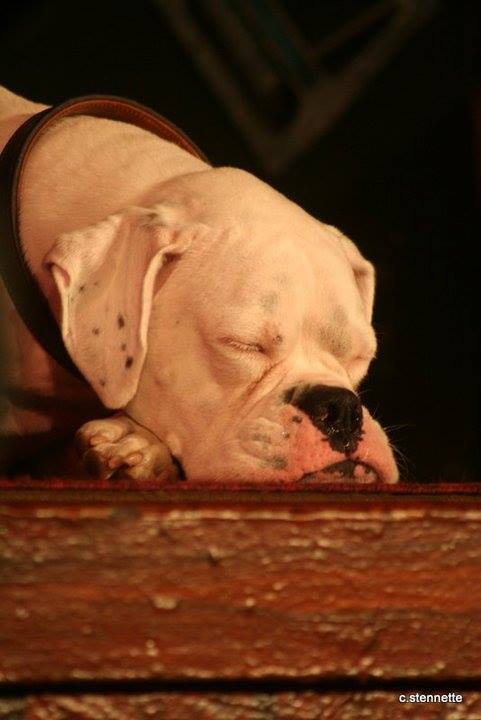 benny-13.jpg