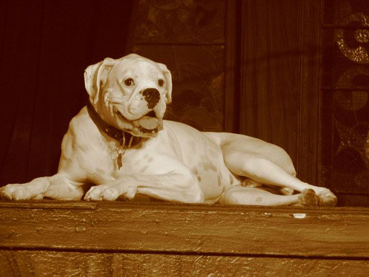 benny-3.jpg