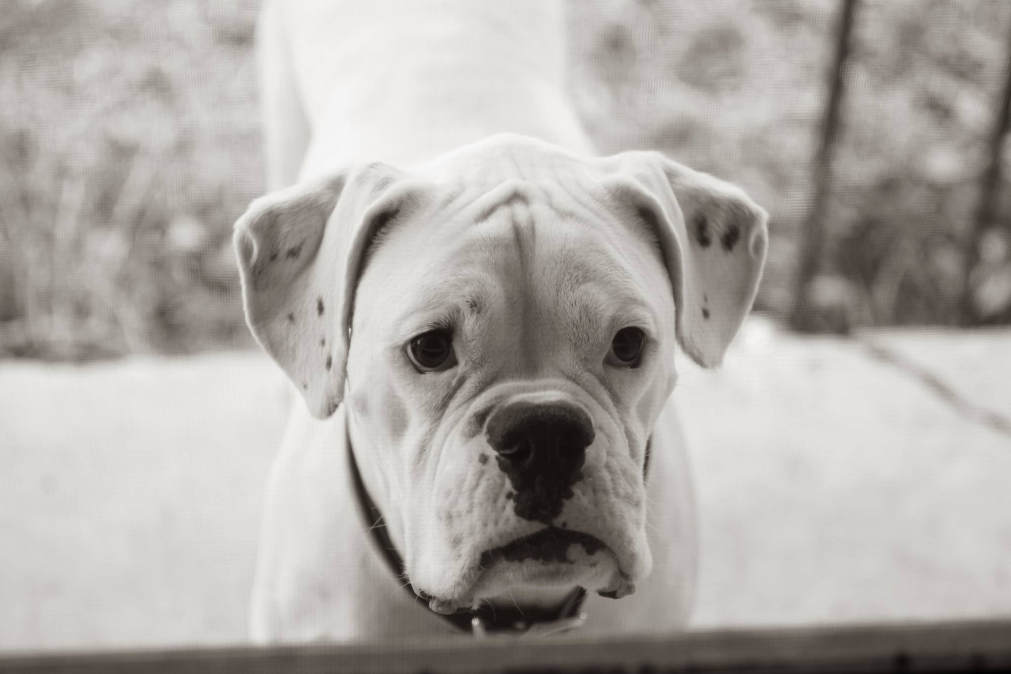 benny-4.jpg