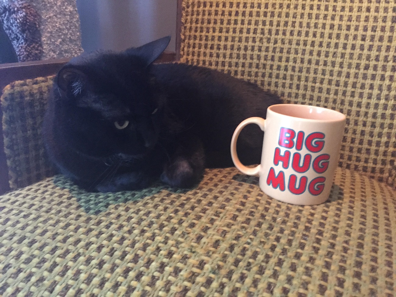 big-hug-mug.jpg