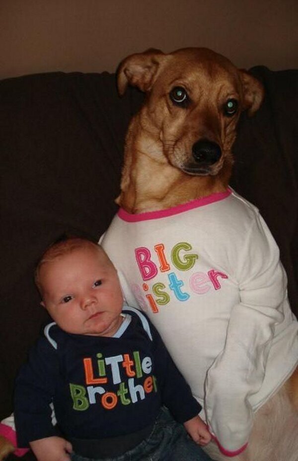 big-sister-dog-and-little-brother-baby.jpg