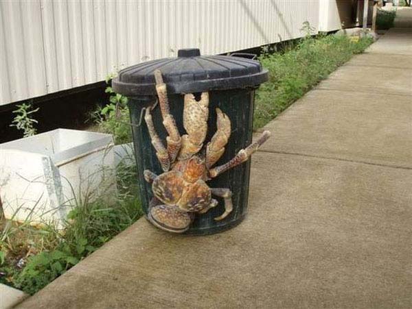 biggest-animals10-2.jpg
