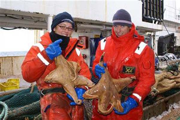 biggest-animals161.jpg