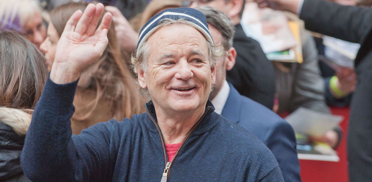 bill murray 800