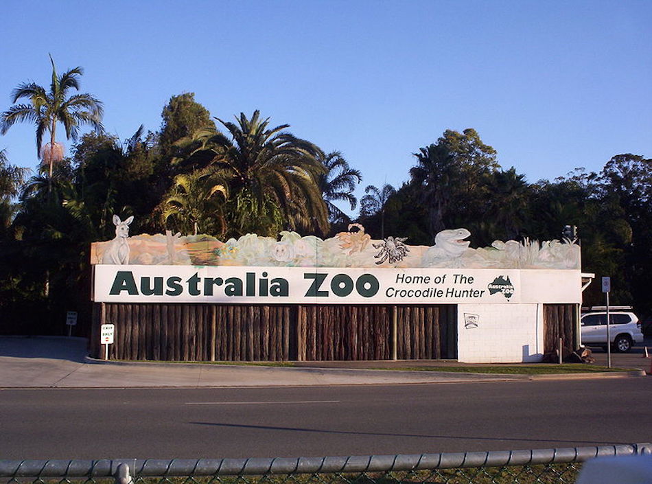 bindi-irwin-australia-zoo.jpg