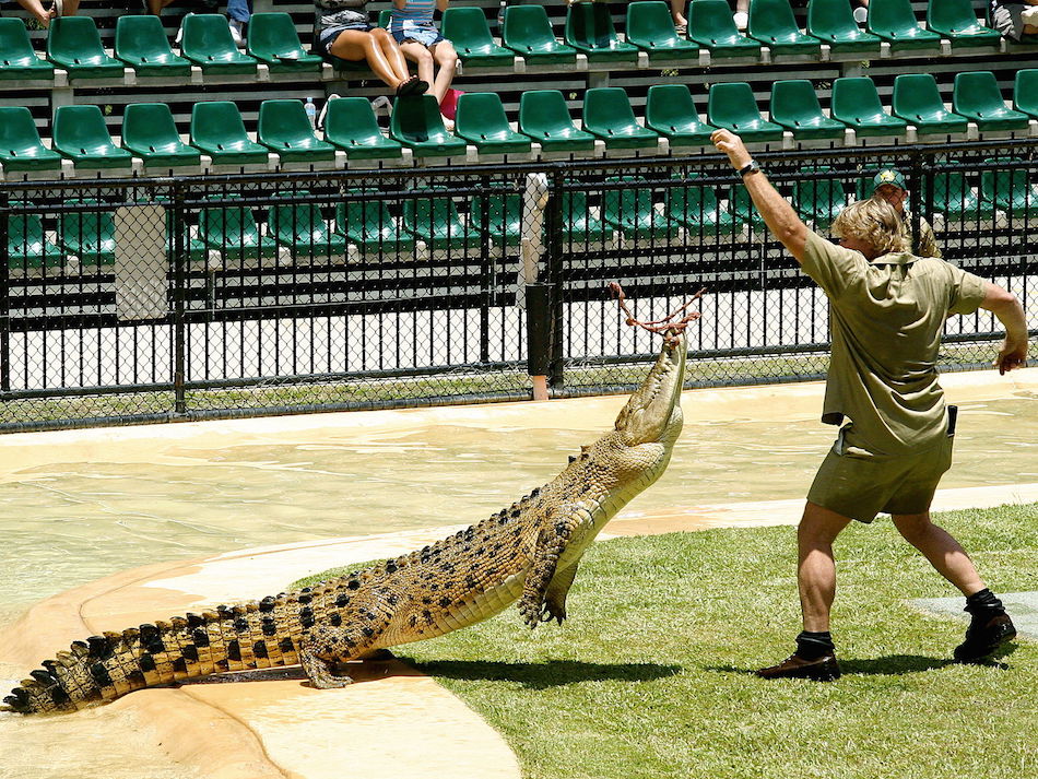 bindi-irwin-crocodile-name.jpg