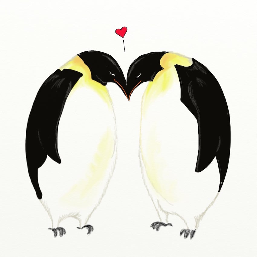 birdLove_850px_1.jpeg birdLove_850px_1.jpeg