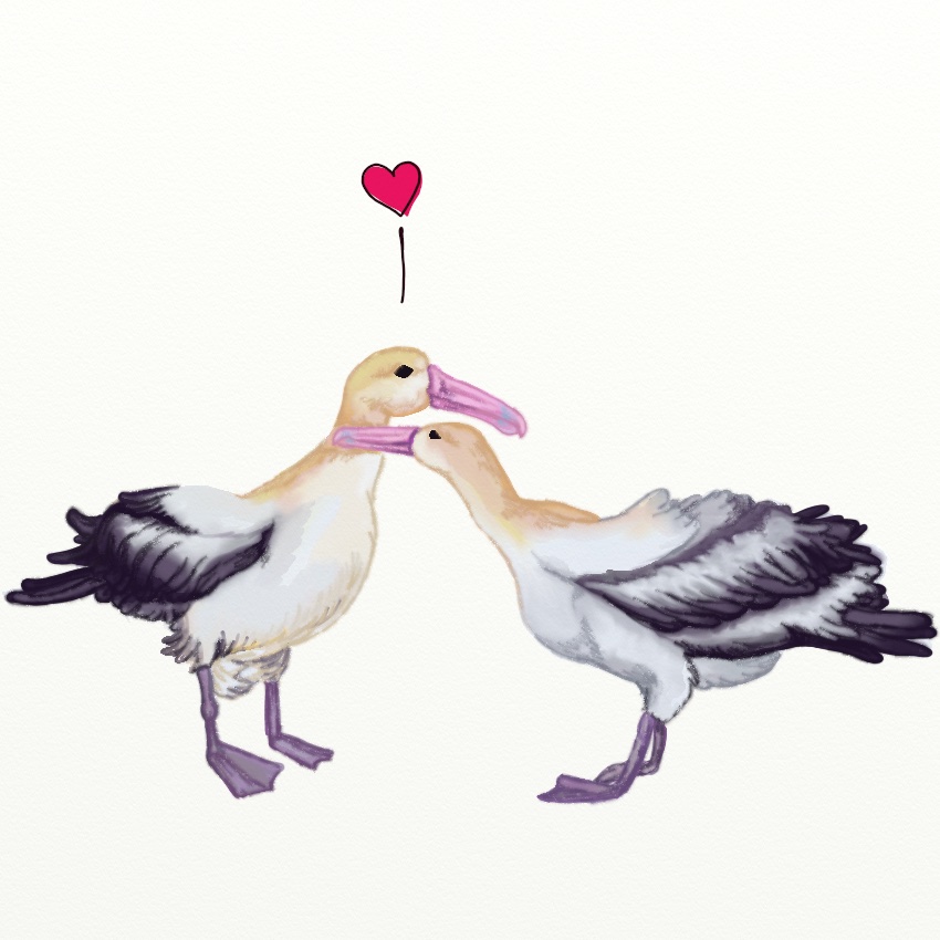 birdLove_850px_3.jpeg