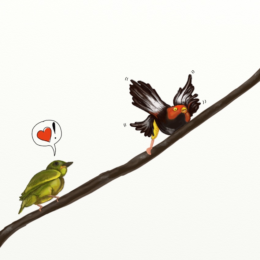 birdLove_850px_4.jpeg
