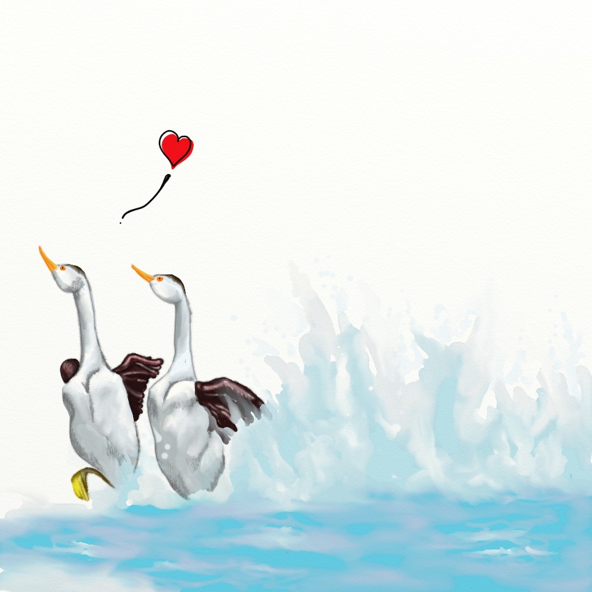 birdLove_850px_5.jpeg