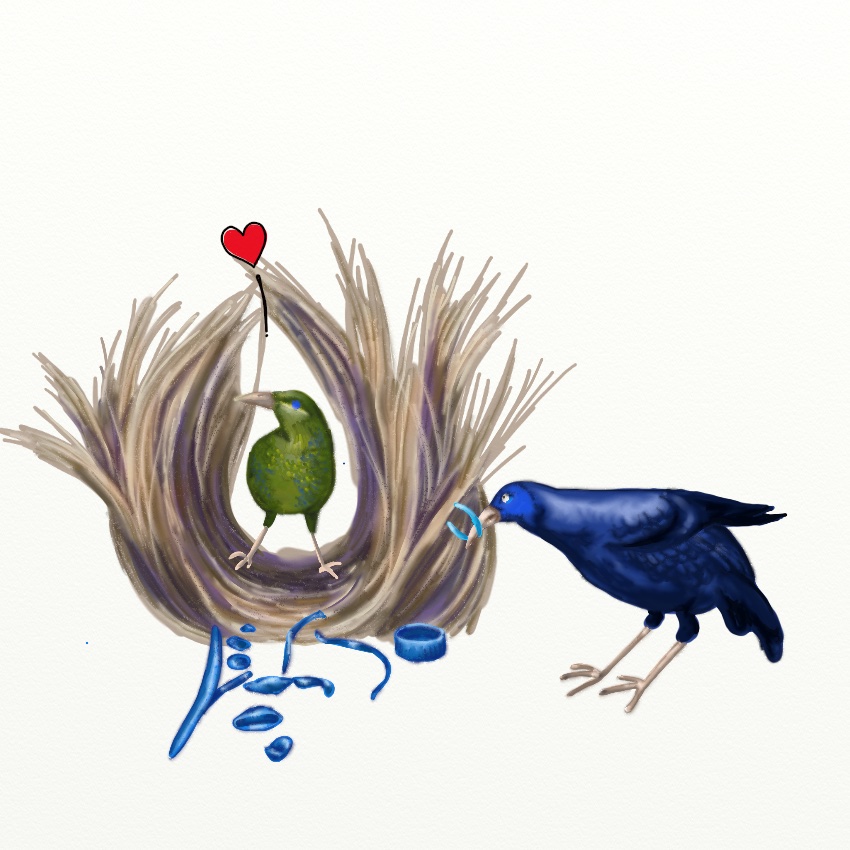 birdLove_850px_7.jpeg