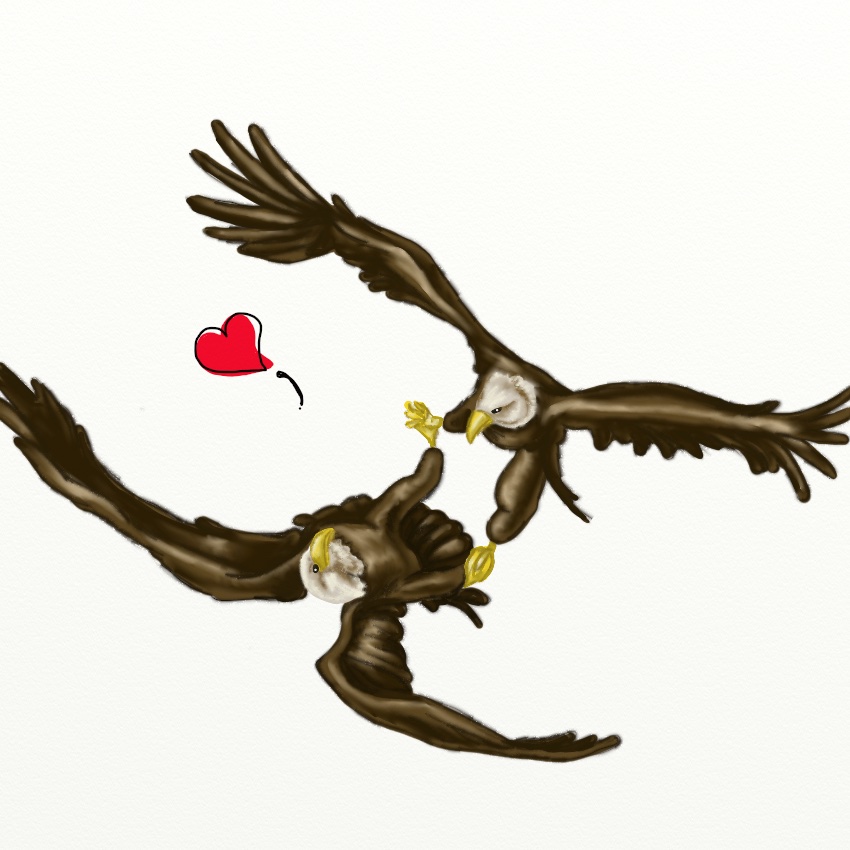 birdLove_850px_9.jpeg