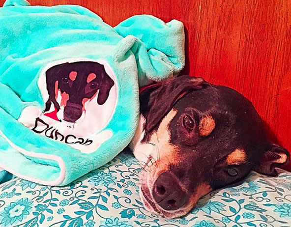 blanket-2.jpg