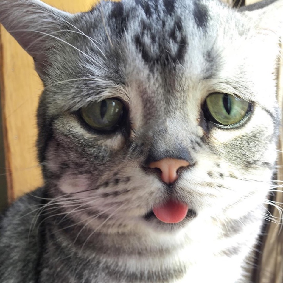 blep.jpg