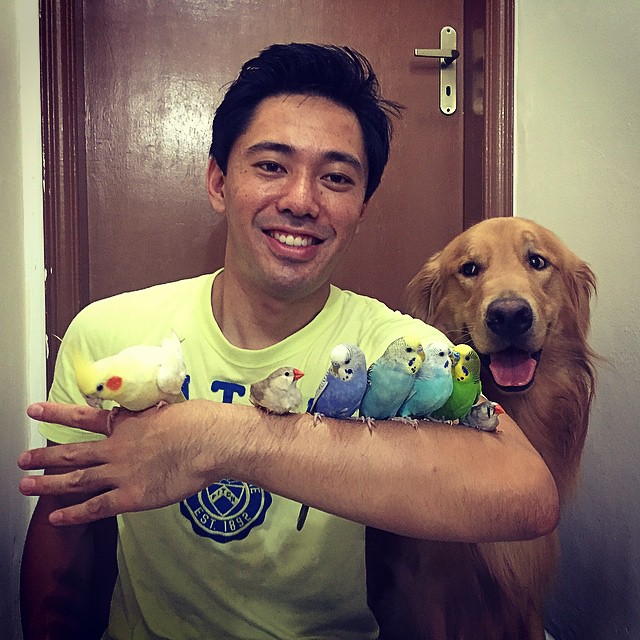bob-golden-retriever-sao-paulo-281.jpg