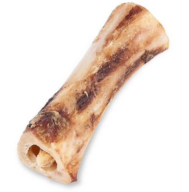 bone-marrow-1.jpg