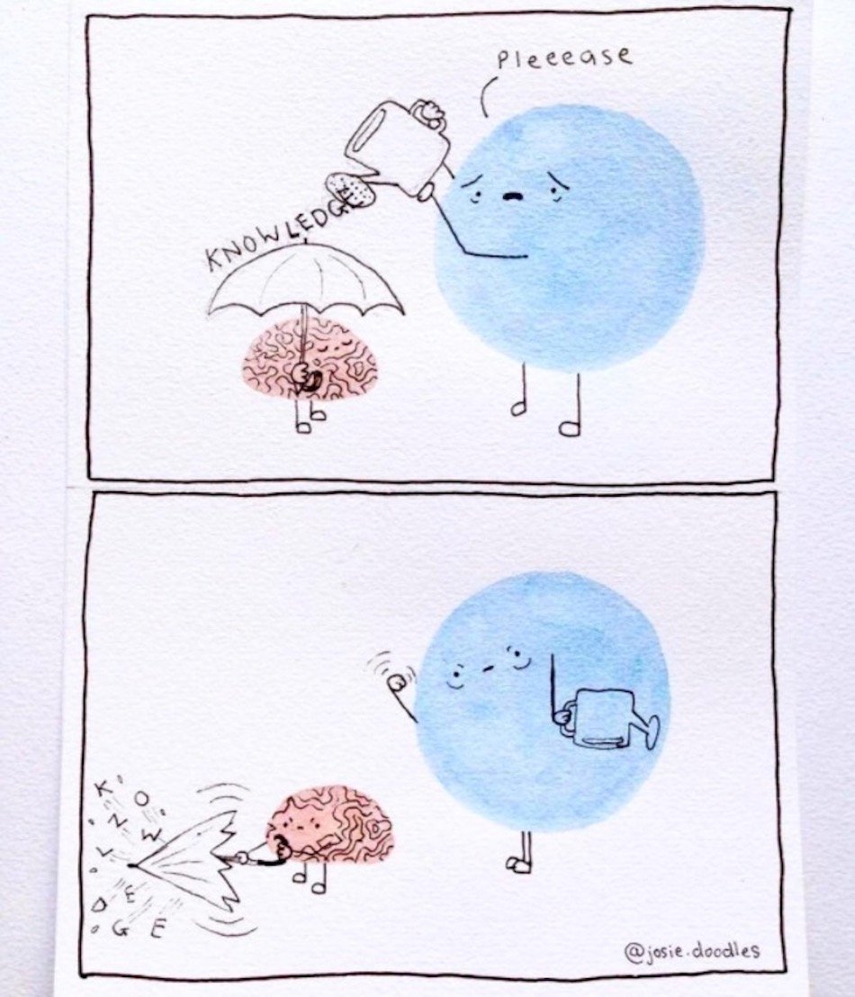 brain-1.jpg