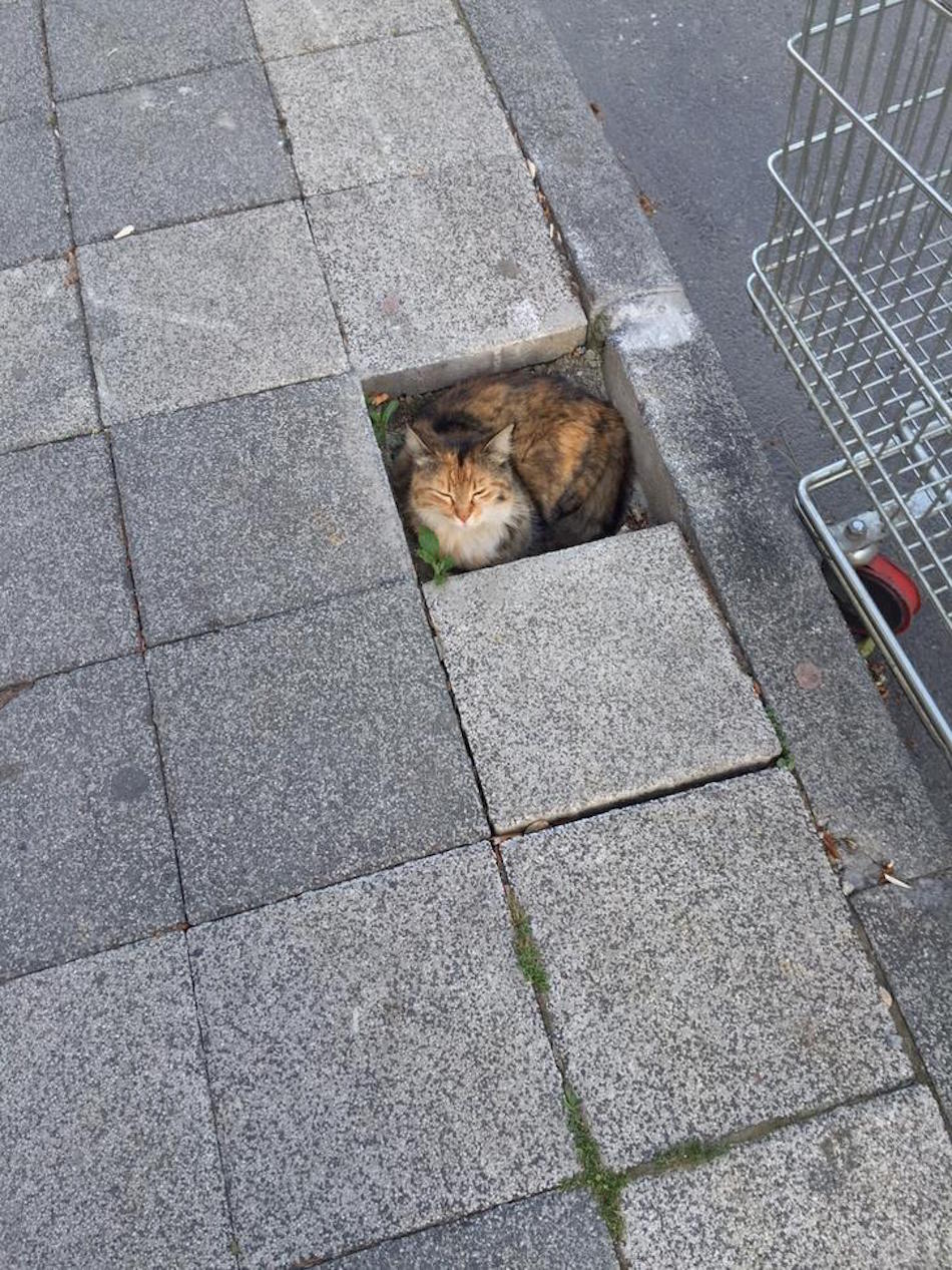 brick.jpg