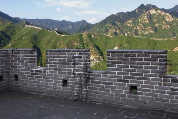 brickwallLIU.jpeg
