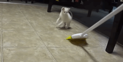broom.gif