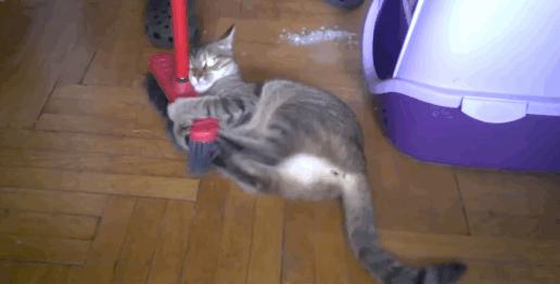 broom2.gif