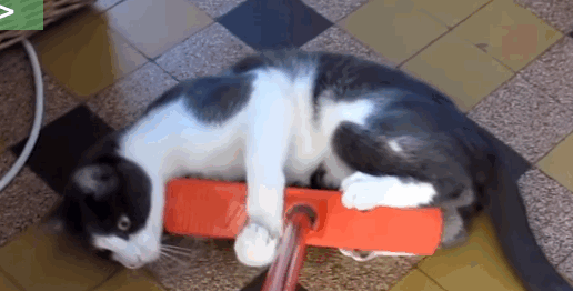broom3.gif